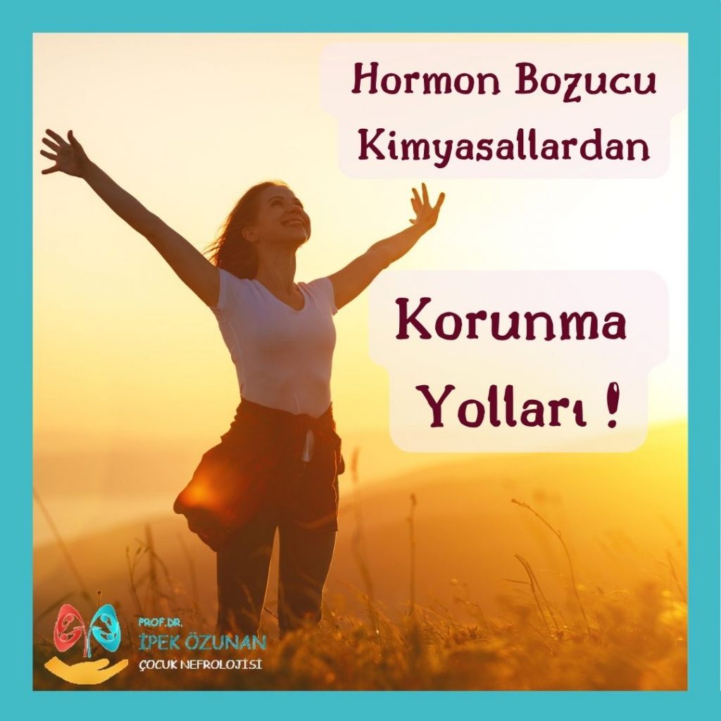 Hormon bozucu kimyasallar: Korunma Yollarımız!